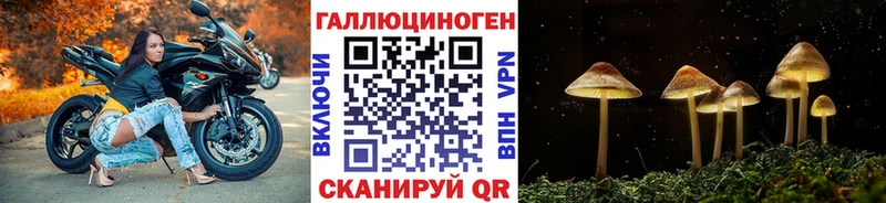 кракен   цены наркотик  Краснотурьинск  Галлюциногенные грибы Psilocybe 